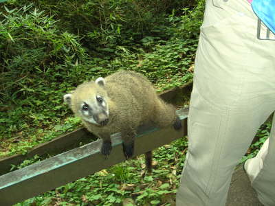 Montag/Dienstag, 17./18.09.07. An den Iguacu Wasserf�lle.