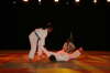 Samstag, 25. u. Sonntag, 26.04.09. Budo Gala 2009 in M�hlhausen/Th�ringen.